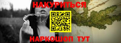 прущие грибы Усть-Илимск