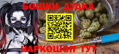 прущие грибы Усть-Илимск