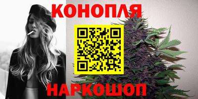 прущие грибы Усть-Илимск
