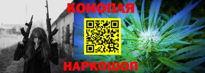 прущие грибы Усть-Илимск