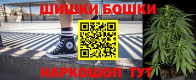 прущие грибы Усть-Илимск